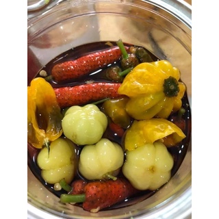 CÂY TIÊU LỐT (