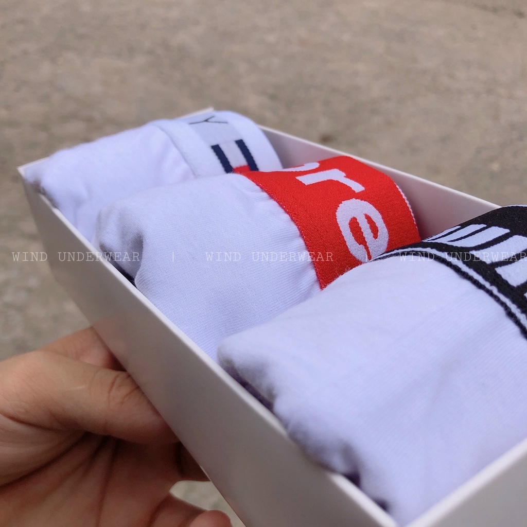 Combo 3 quần sịp nam boxer cao cấp chất cotton siêu thấm hút mồ hôi WIND COMBO PTS