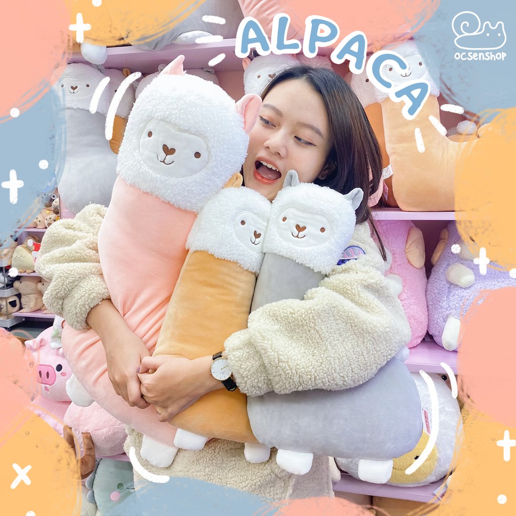 Lạc Đà Alpaca Bông