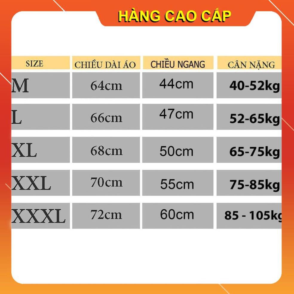 [𝐅𝐑𝐄𝐄 𝐒𝐇𝐈𝐏] Áo Thun Cao Cấp Cậu Vàng - Lão Hạc Funny (Chuẩn Hàng VNXK, Nam Nữ Mặc Đều Đẹp)