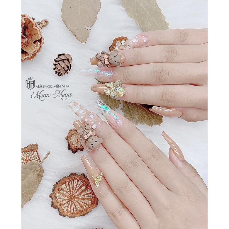 Set gấu timber trang trí móng