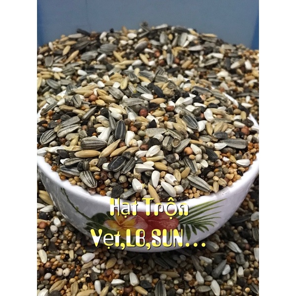 HẠT TRỘN DÀNH CHO VẸT, SUN, LB, COKATIEL…