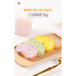 [ORDER] Bánh mì lúa mạch ngũ cốc nguyên cám