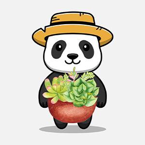 Vườn Sen Đá PANDAA GARDEN