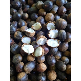 1 kg hạt dẻ rừng