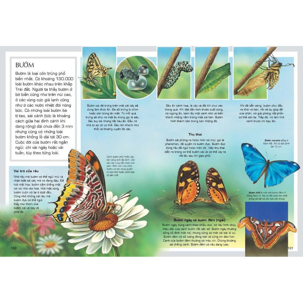 Sách: Thế Giới Động Vật
