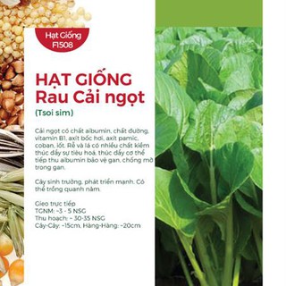 Hạt giống rau cải ngọt (Tsoi sim)