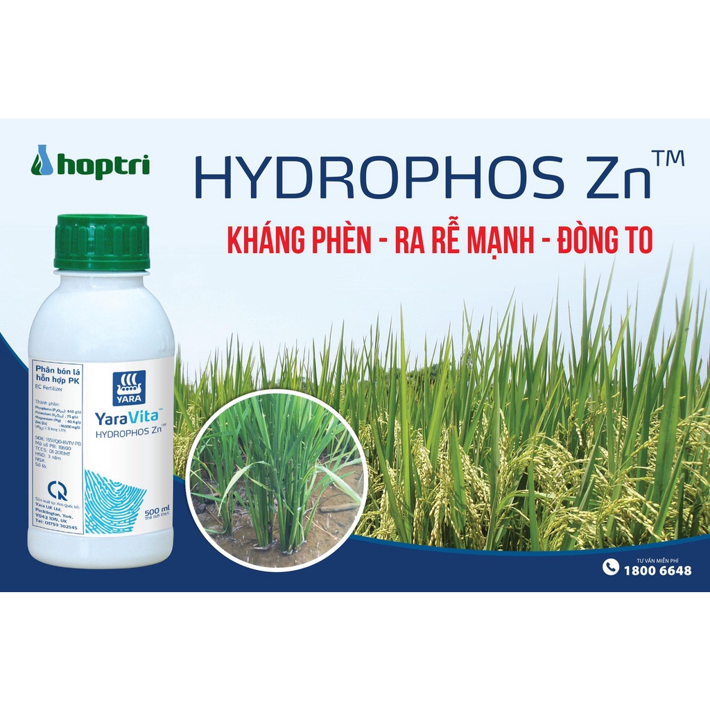 Hydrophos Zn kháng phèn ra rễ mạnh đòng to / Chai 1 lít