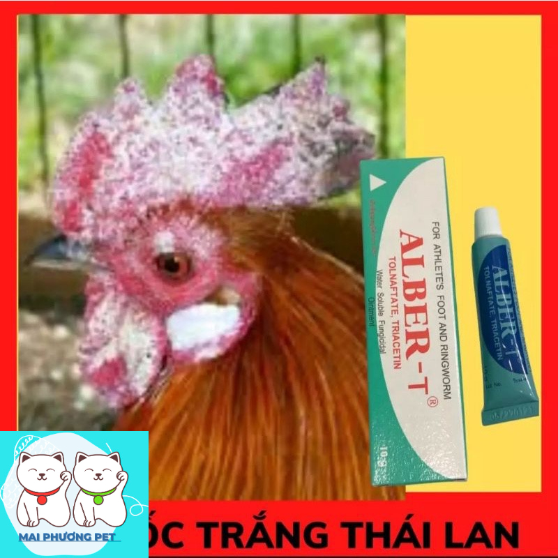 ￼HN- Trị nấm gà, mốc gà chọi, trị lác gà đá ALBER-T dạng tuyp bôi 10gr MADEIN THAILAND