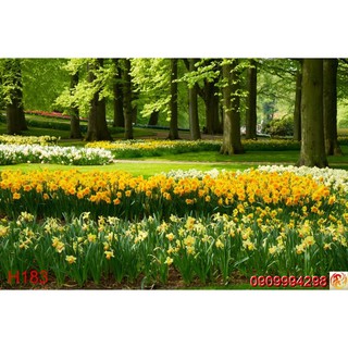 Tranh dán tường Hoa 3d, tranh hoa lá nhiều mẫu tranh trang trí phòng live tream