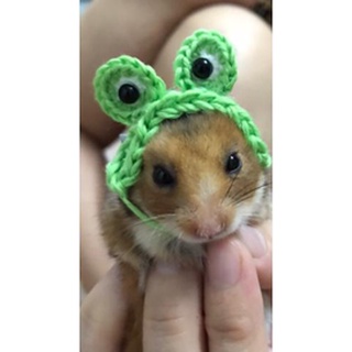 Nón len handmade ếch xanh cho hamster, chuột, bọ ú...