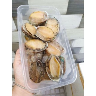 BÀO NGƯ HÀN QUỐC SIZE 20CON/KG