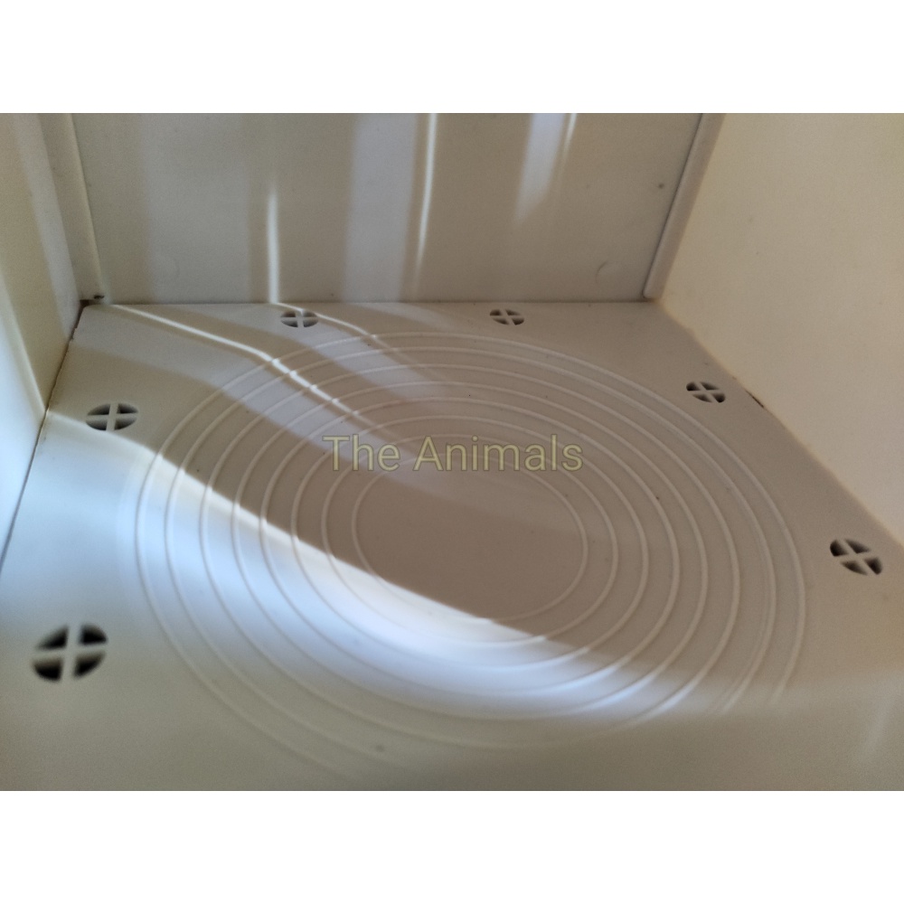Tổ chim yến phụng, yến hót, vẹt malay,...