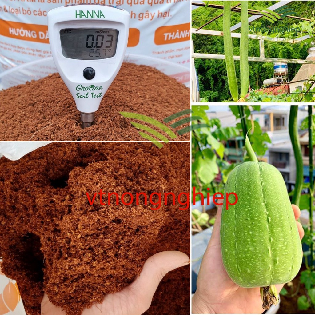 Mụn Xơ Dừa Sfarm Đã Qua Xử Lý Bao 5dm³  Giá Thể Trồng Cây Rau Mầm Hoa Cảnh