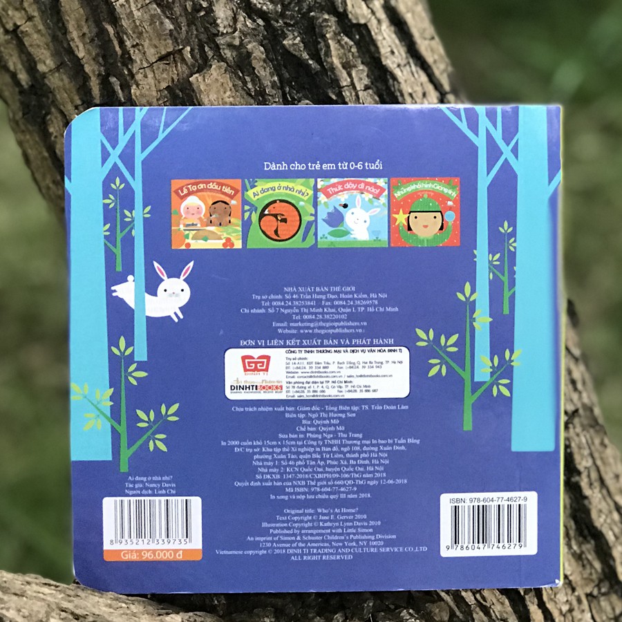 Sách - Lift The Flap - Lật mở khám phá : Ai đang ở nhà nhỉ? | BigBuy360 - bigbuy360.vn