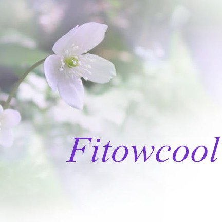 fitowcool.vn, Cửa hàng trực tuyến | BigBuy360 - bigbuy360.vn