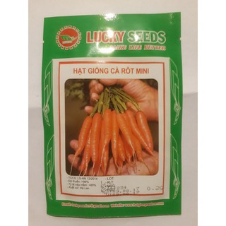 HẠT GIỐNG CỦ CÀ RỐT MINI
