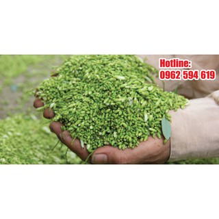 🎋 1kg Trà hoa hòe