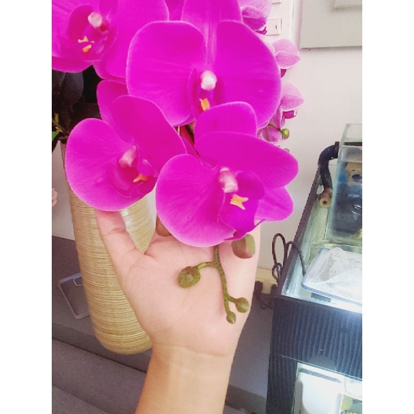 Lan Hồ Điệp Giả - Lan Hồ Điệp Cao Su cành 9 bông thân đốm 90cm. cao su non 100%