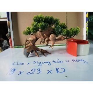 Lũa bonsai trang trí hồ cá.