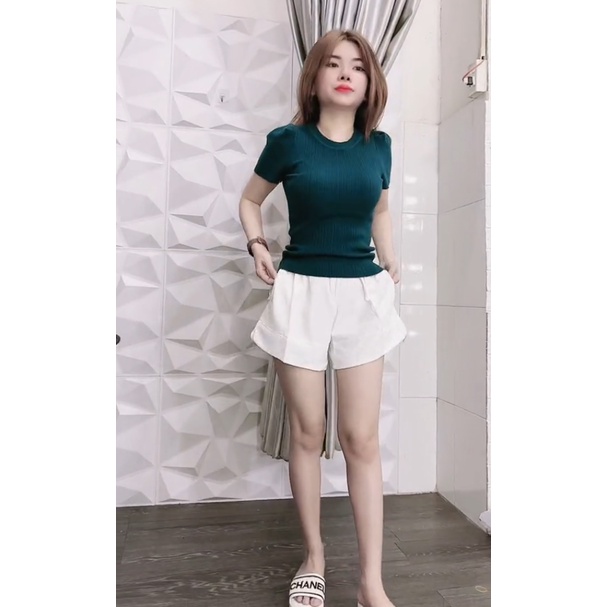 Áo Phông, Áo Thun Kiểu Tay Bồng A2 - Lê Na Chuyên Sỉ Lẻ | BigBuy360 - bigbuy360.vn