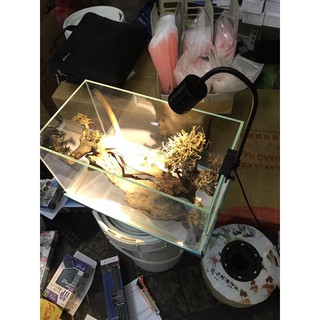 Đèn Led Rọi Cho Cá Cảnh