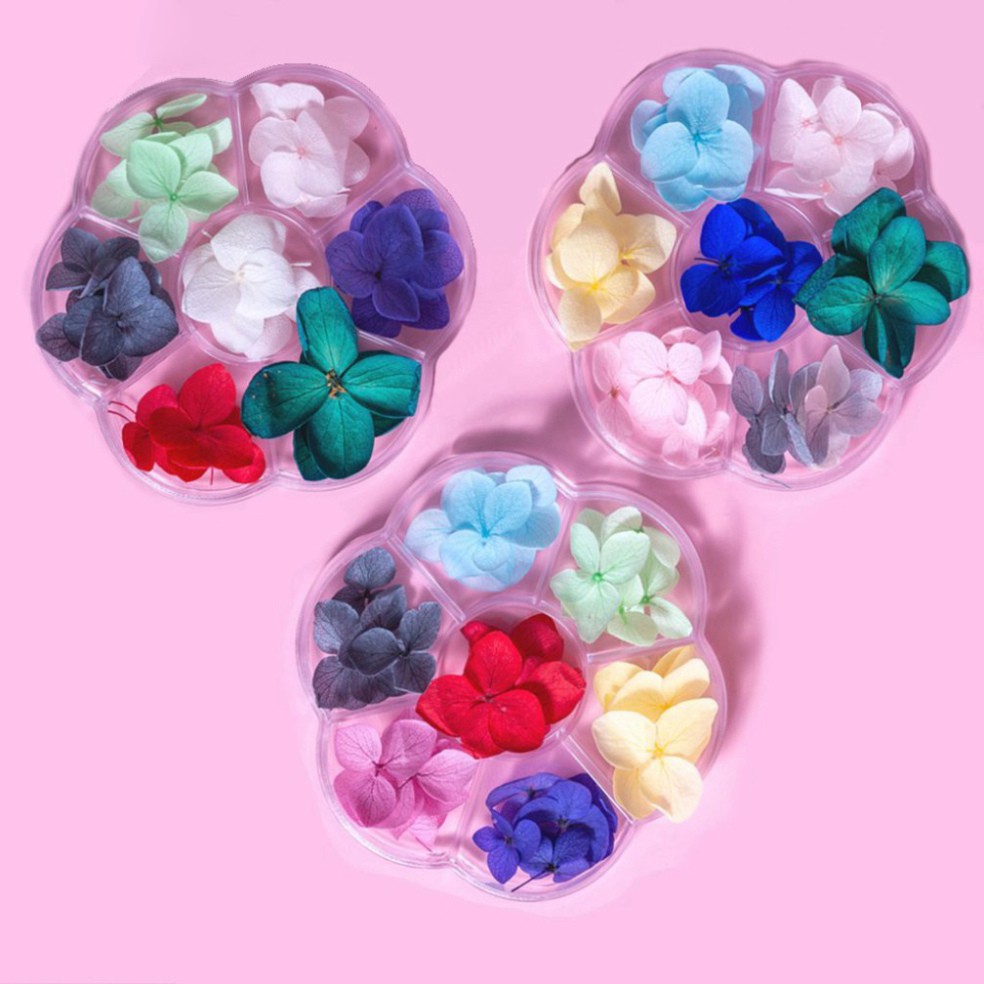 Hoa khô trang trí móng tay - Set 7 màu hoa khô nail, cánh hoa to và mỏng đắp ẩn theo phong cách Hàn Nhật M572