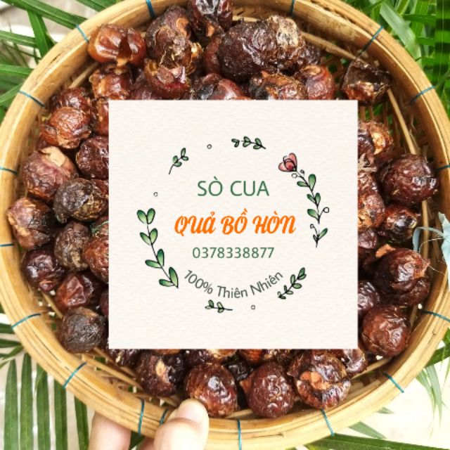 Quả bồ hòn 1kg