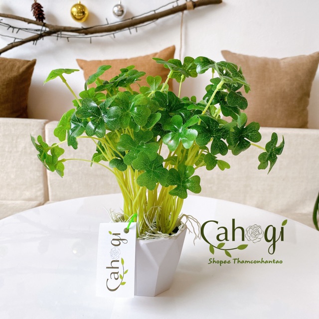 Cây Giả - Cây May Mắn 4 Lá Siêu Dễ Thương