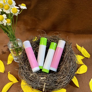 VỎ SON DƯỠNG MINI COLOR