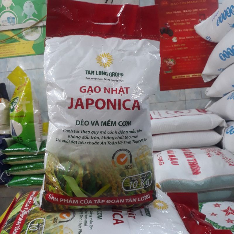Gạo Nhật Japonica 10kg