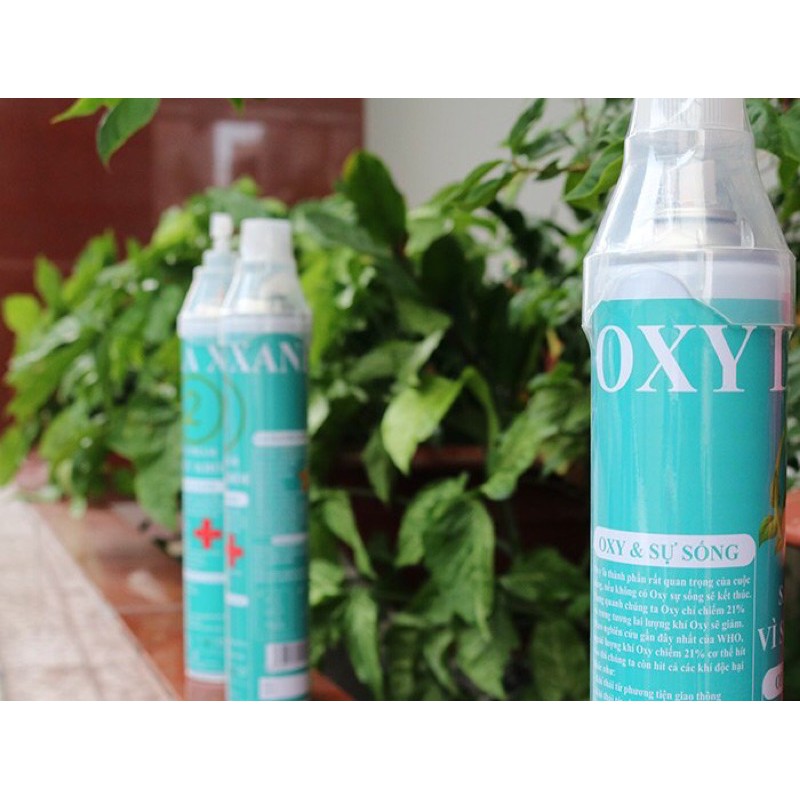 Bình Oxy cầm tay mini