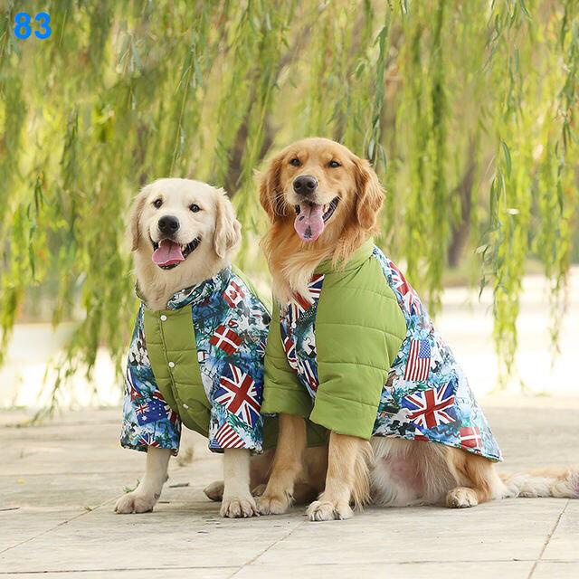 2021 ♞❧☌Quần áo cho chó lớn Labrador Golden Retriever Husky Satsuma dày thu đông cỡ vừa khoác bông cưng