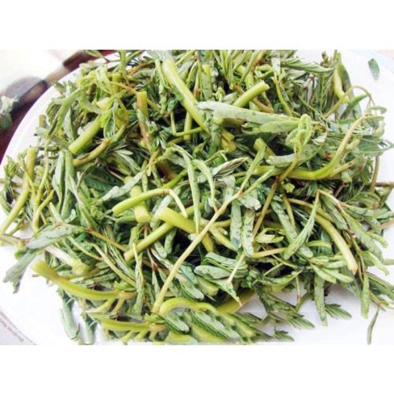 Hạt Giống Rau Nhút - Rau Rút Dút - Gói 50 hạt