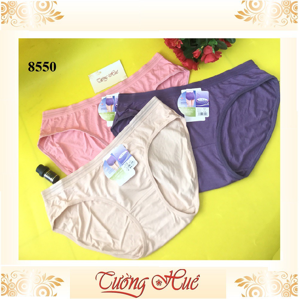 Bộ3 Quần lót nữ Autumndreams 8550 quần lót cỡ lớn với chất liệu từ thiên nhiên MÀU NGẪU NHIÊN.