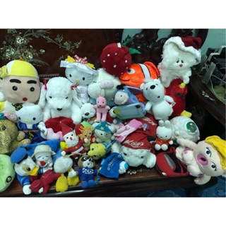 Gấu si nhật hàn