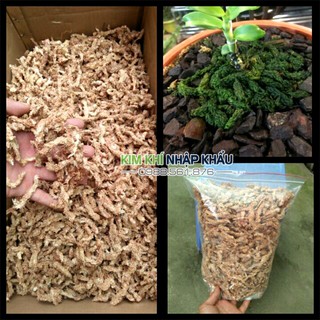 Rêu sâu Chile chuyên dùng trồng Lan gói 0,5kg - GT28