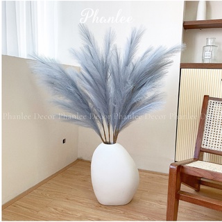 Cây lau giả 1 cành trang trí nhà cửa không bung xù Phanlee