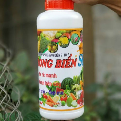 Phân Rong Biển SH SEAWEED Đậm Đặc chuyên dùng hoa hồng, cây ăn quả, rau màu chai 1000 ml