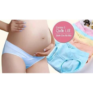 Quần lót bầu 89k/5 cái
