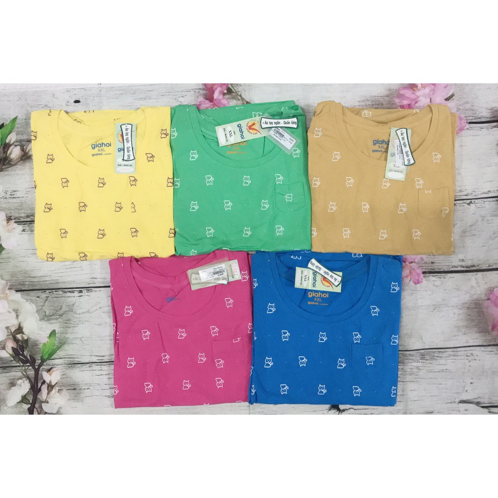 Bộ thun cotton mèo nét Gia Hồi Quần lửng, đủ màu đủ size