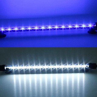 Đèn led chìm nước hồ cá