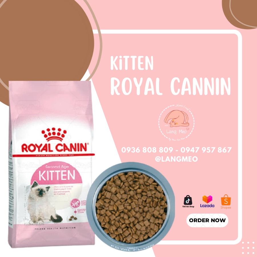 Hạt khô cho mèo con Royal Canin Kitten