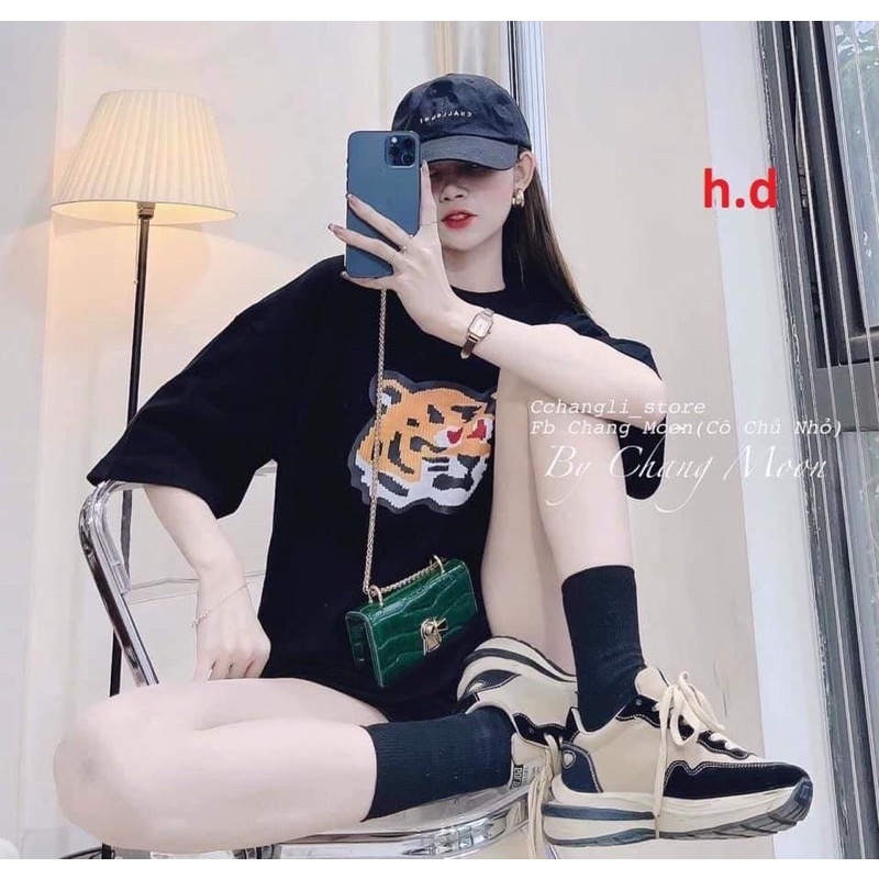 Áo phông đầu hổ vàng HD6