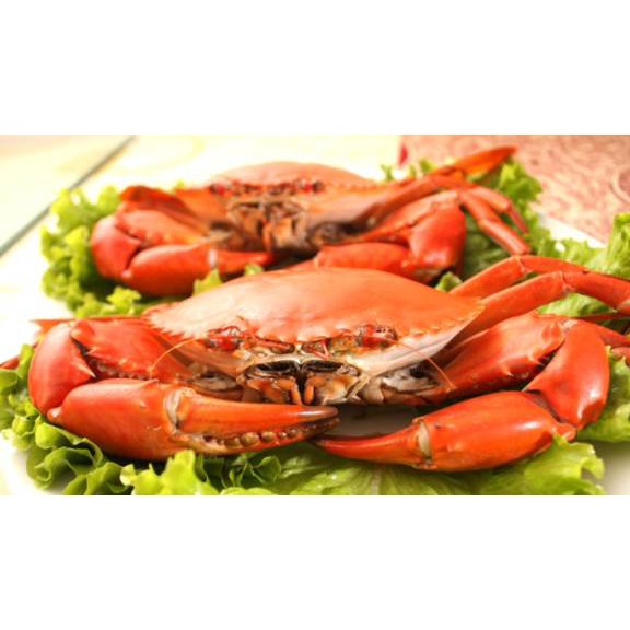 Hương thịt thực phẩm cao cấp