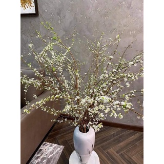 Bó hoa tuyết mai dùng để cắm bình đẹp