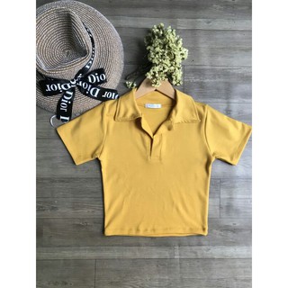 áo cổ trụ croptop