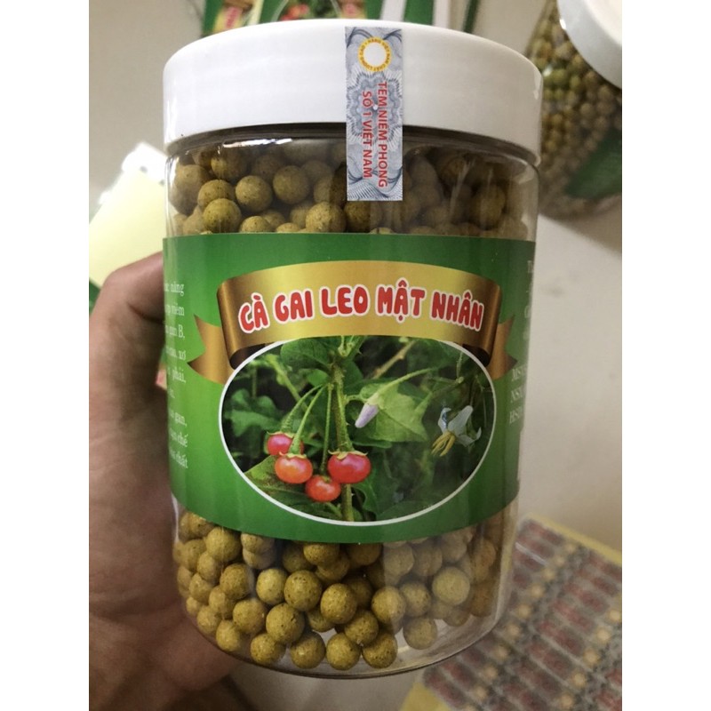cà gai leo mật nhân hộp 500g