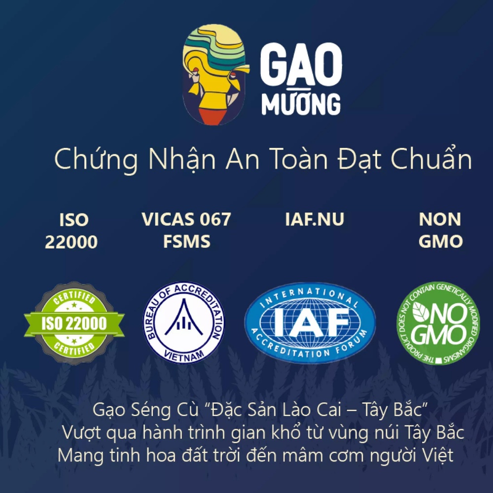 Gạo hữu cơ ST25 thơm ngon đóng gói hút chân không 1kg | BigBuy360 - bigbuy360.vn