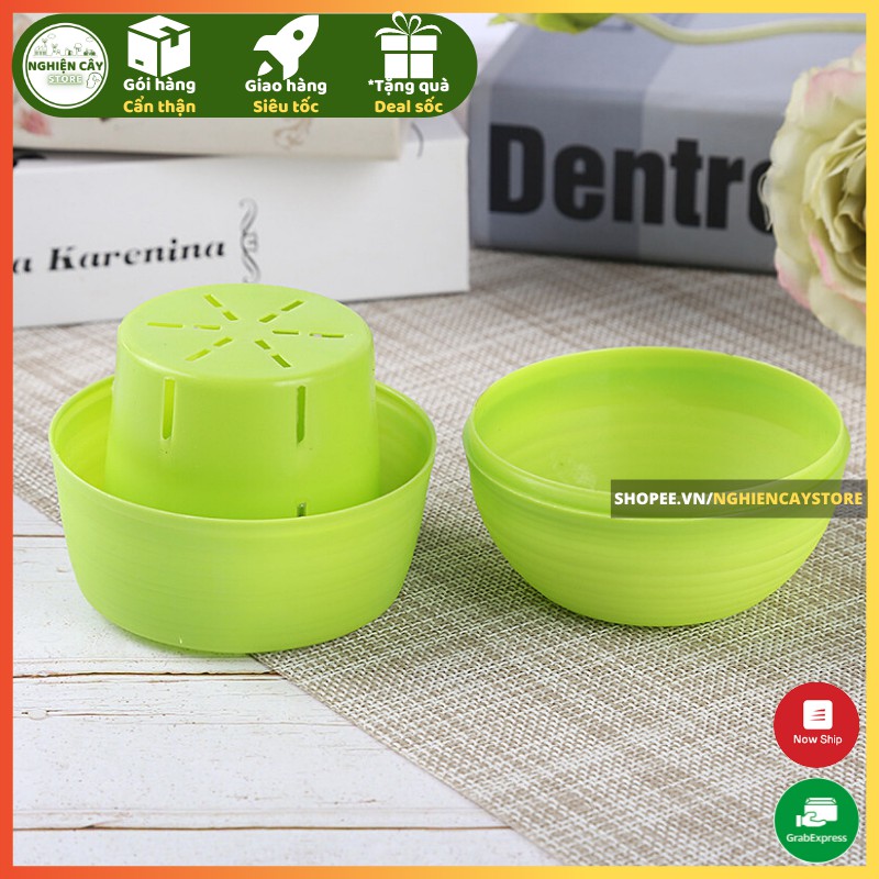 Chậu nhựa mini nhiều màu tự tưới, trồng sen đá, sương rồng, cây mini để bàn